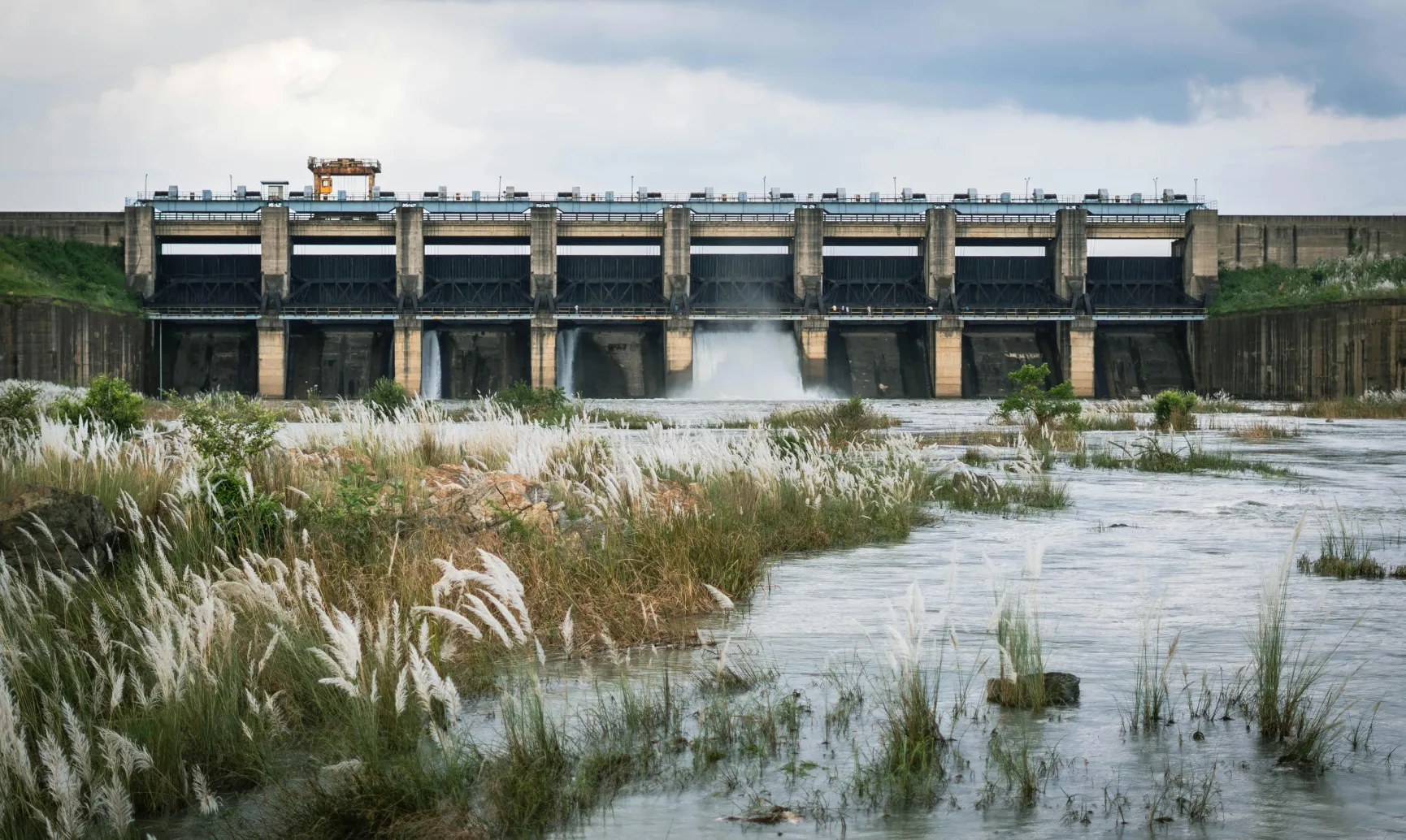 Lorem adipiscing ipsum dolor sit amet, consec tetur adipiscing elit